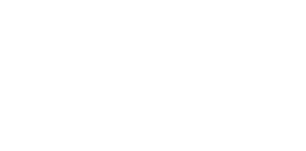 Cluit
